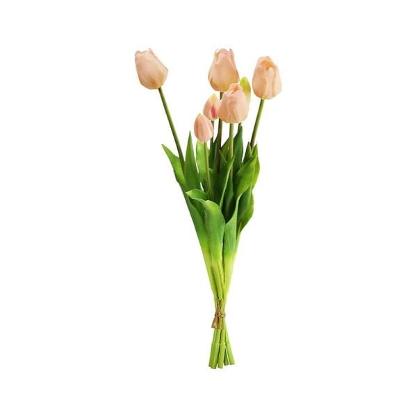 Tulipe - Image 2