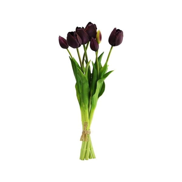 Tulipe - Image 3