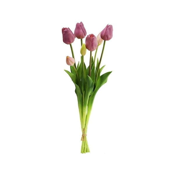 Tulipe - Image 4