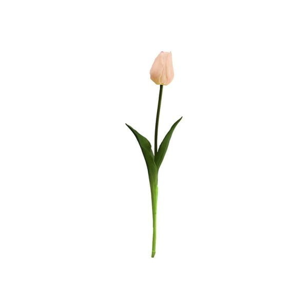 Tulipe single - Image 3