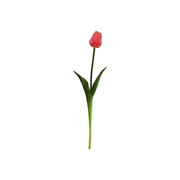 Tulipe single - Image 4