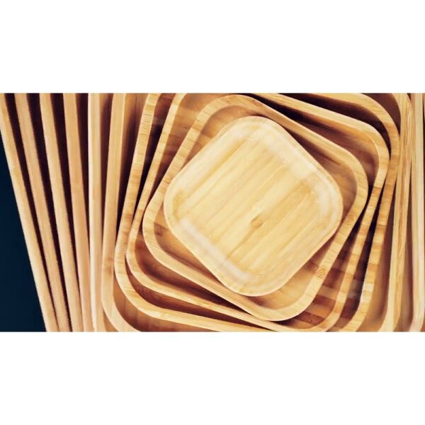 Bamboo Plate for Appetizers, Barbecue, Steak - Image 7