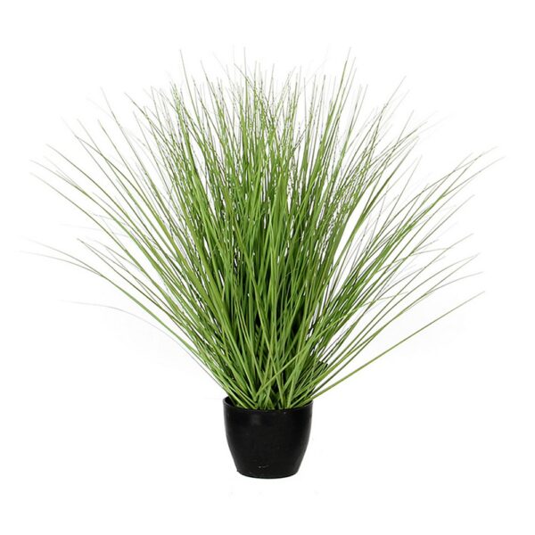 Grass green in plastic pot