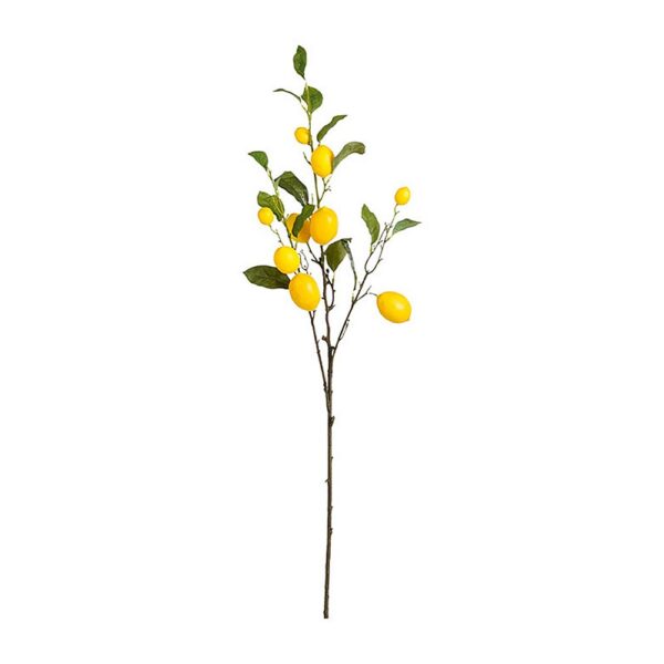 Decoration branch, Lemon or Tangerine