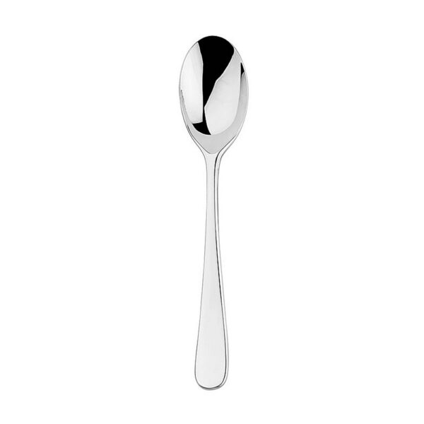 Dessert/Soup Spoon Set of 12 - Aquatic