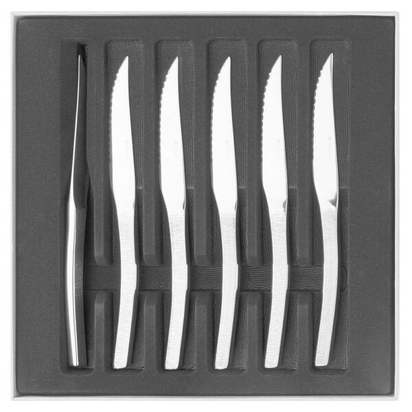 Gift Box Set of 6 Table Knives Solid Handle - Astree Cisele