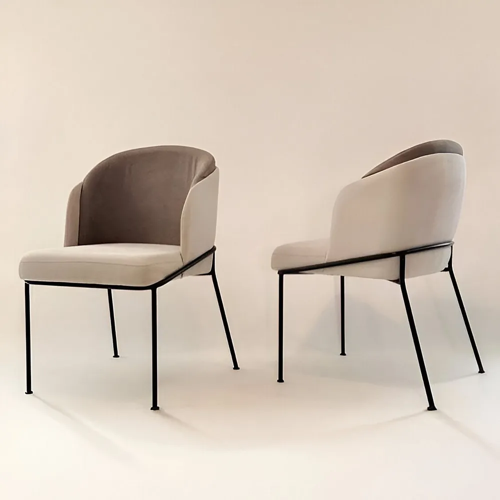 Axis Dining Chair | Wonderbayt