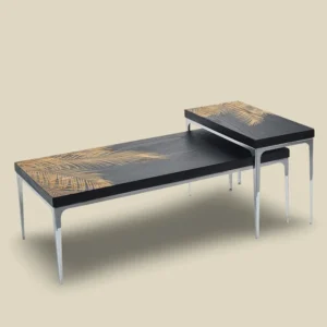 Set of 2 Rectangular coffee tables with silver base