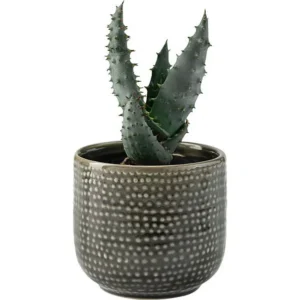 Vox Flowerpot Cover LIGO (without plant)