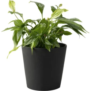 Vox Flowerpot Cover DUNO (without plant)