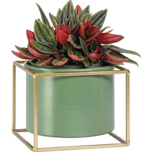 Vox Flowerpot Cover GRINO Low (without plant)