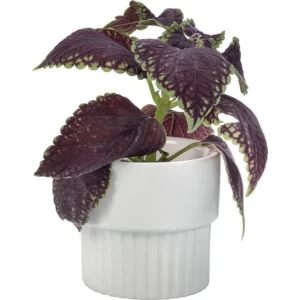Vox Flowerpot Cover BOTANIK I Ceramics (without plant)