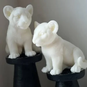Leo Candle