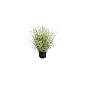 Grass Green in Plastic Pot
