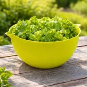 Koziol Palsby 5L Classic Kitchen Bowl Mixing Bowl