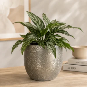 Mica Carrie Round Black Rustic Plant Pot