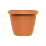 20cm