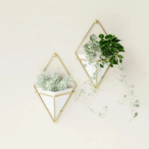 Umbra Trigg Wall Display set of 2 pieces